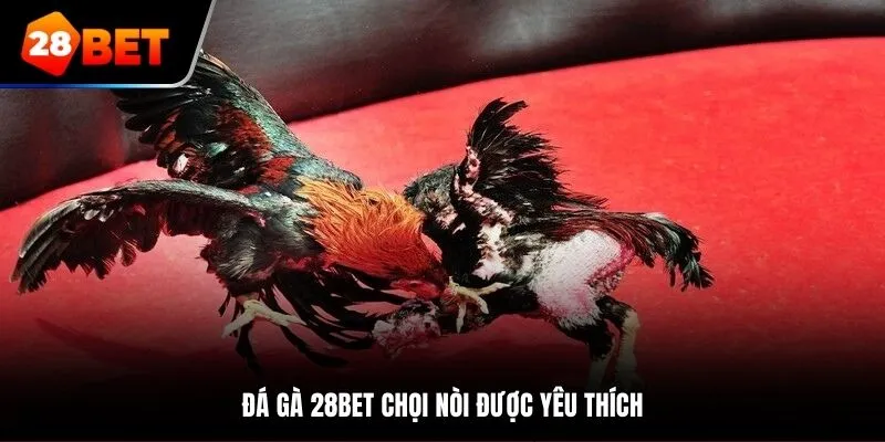 da-ga-28bet-ga-noi
